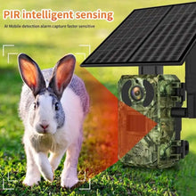 4G Hunting Trail Wildlife Camera Solar/Battery Power 4MP 2K HD Video PIR Motion Detection Night Vision Waterproof