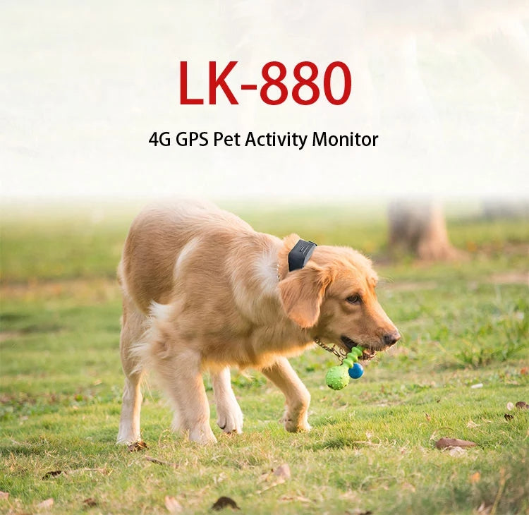 LK880 Pet Dog GPS Tracker in Neck Collar 4G LTE 14 Day Battery GEO Fence Alarm Notification Waterproof