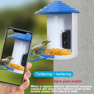 Bird Feeder Camera Wireless Wi-Fi 1080p HD 24/7 Battery Solar Power No Wiring Needed