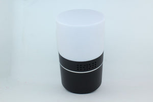 Wireless Wi-Fi Bluetooth Speaker Camera Built-in Mood Lamp Recorder Motion Alert