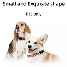 4G GPS Pet Dog Tracker Locater Live Real Time Accurate Tracking Anti Lost Geo Fence Device